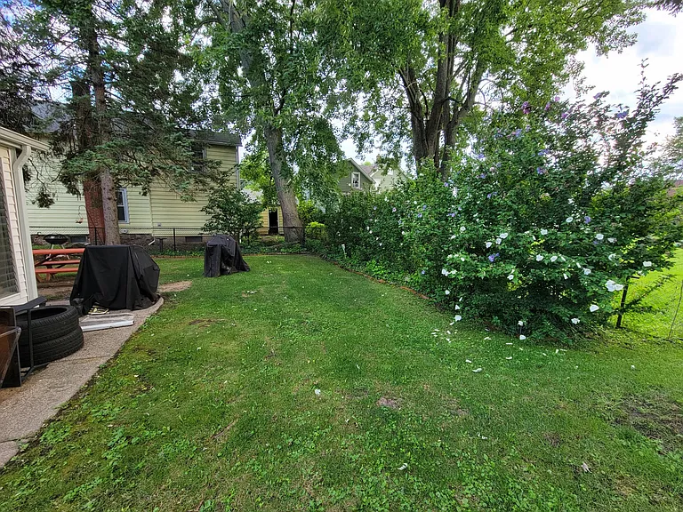 10 McKinstry St #1 — Photo 6