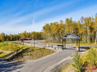 45157 S Upwind Cir, Willow, AK 99688