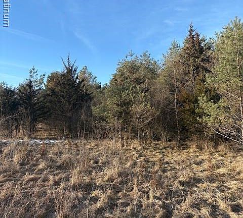 5th image of O'Pineway Trl