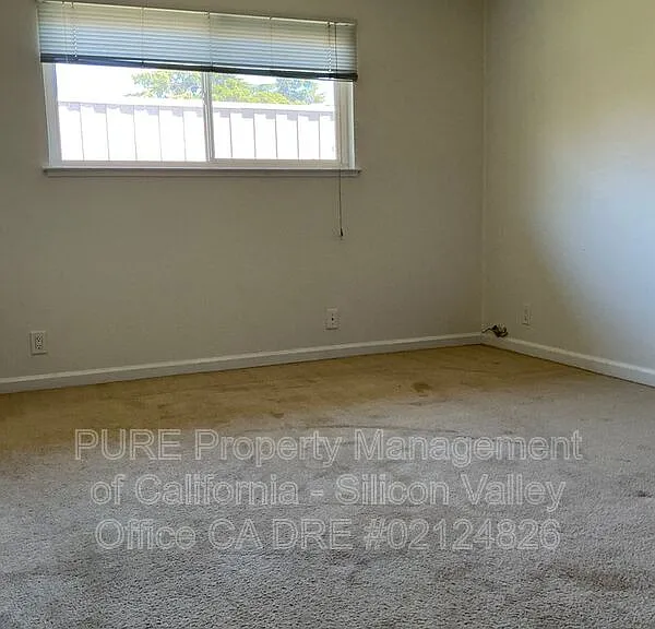831 Pomeroy Ave #4 — Photo 31