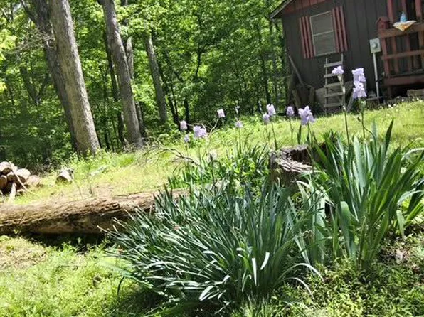 63 Capella Ct, Great Cacapon, WV 25422