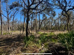 NE Pecan Ave LOT 9, Mayo, FL 32066