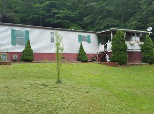 221 Polemic Run Rd, Birch River, WV 26610