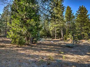 78 Panther Meadow Dr, McCloud, CA 96057