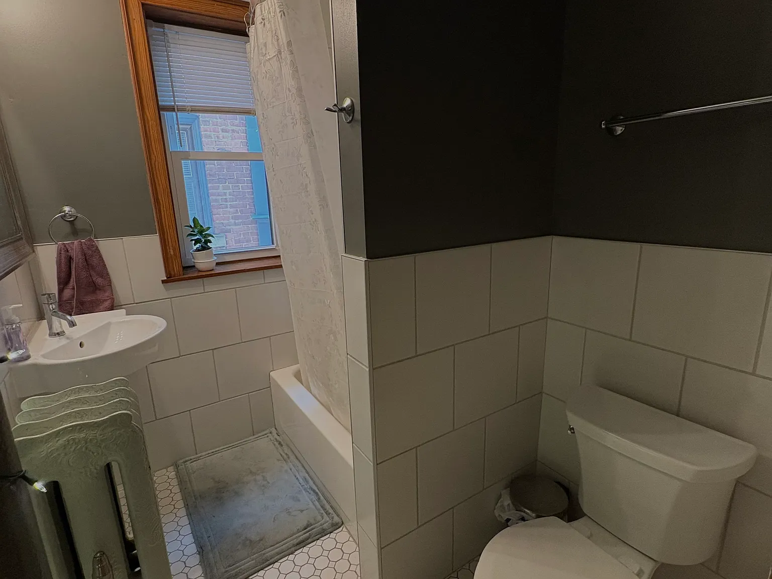 Studio, 550 sqft, $1,050 — Photo 4