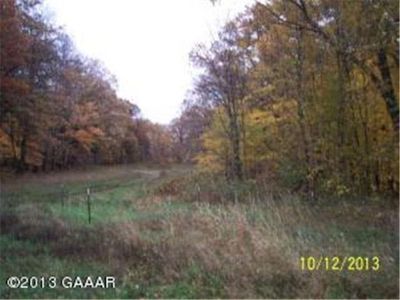 311th Ave, Browerville, MN, 56438