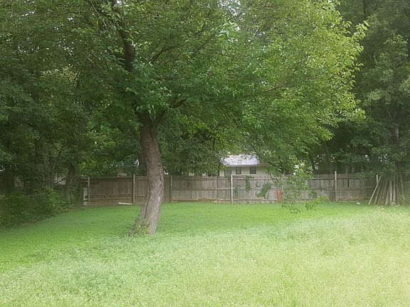 Back yard