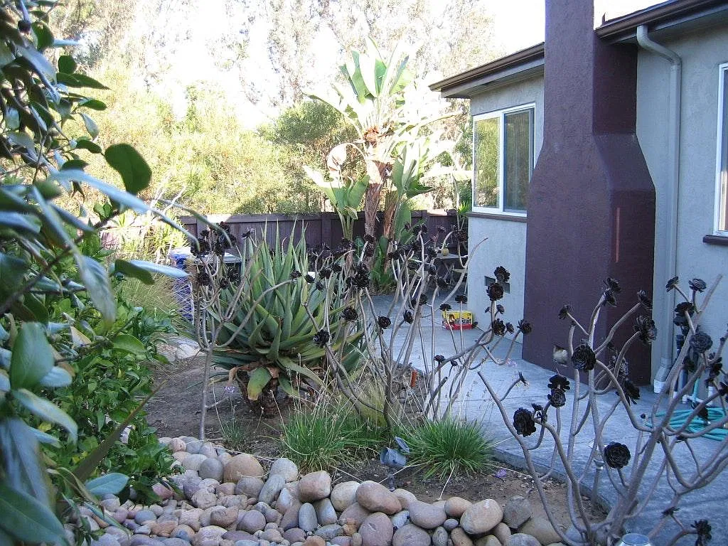 2994 Maple Court — Photo 2