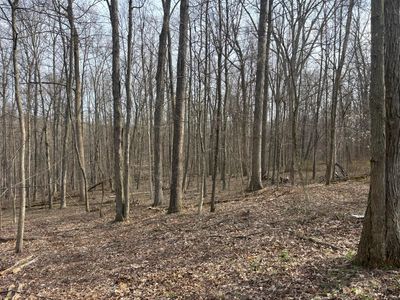 17951 E Shady Ln, Butler, OH, 44822