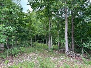 3rd image of 2371 County Road 359