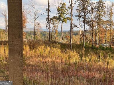 174 Lecroy Dr, Ellijay, GA, 30540