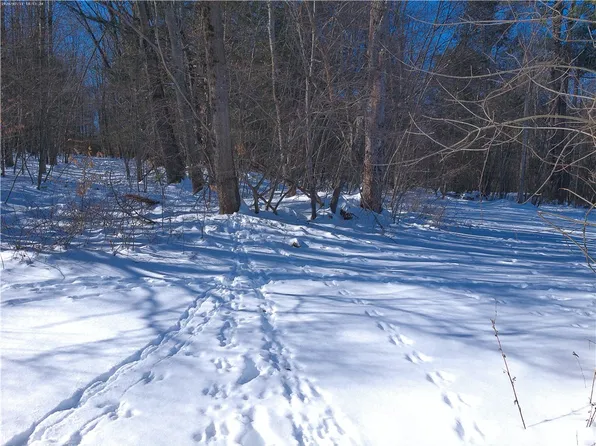Bettsburg Rd Lot 36, Nineveh, NY 13813