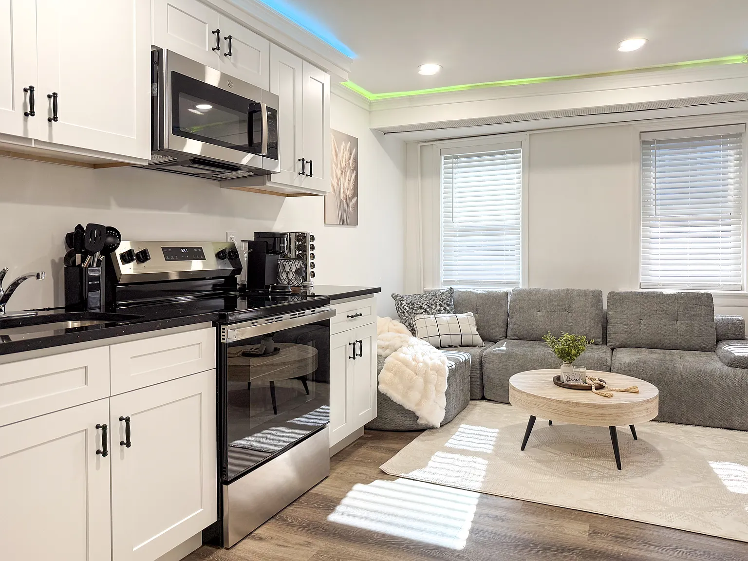 1 bed, 700 sqft, $2,495 — Photo 3
