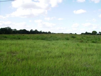 0 Peach Farm Rd, Ashford, AL, 36312