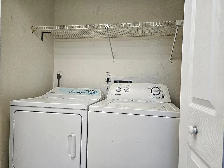 4816 Palm Tree Dr #3 — Photo 8