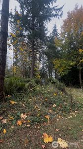 235 Wildcat Road, Toutle, WA, 98649