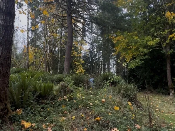 235 Wildcat Road, Toutle, WA 98649