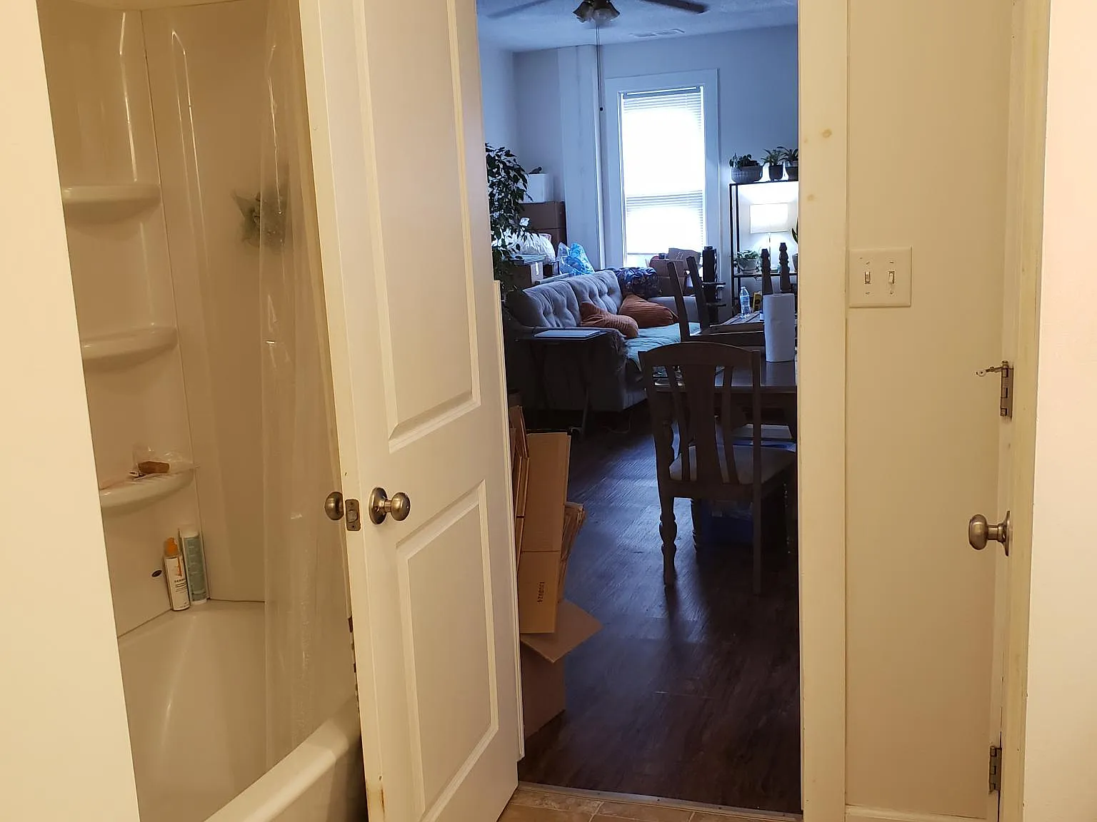 419 Rankin St — Photo 4