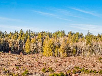 0 E Libby Road, Shelton, WA, 98584