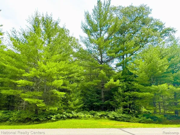 LOT 49 Sandhill Crane Way SE, Kalkaska, MI 49646