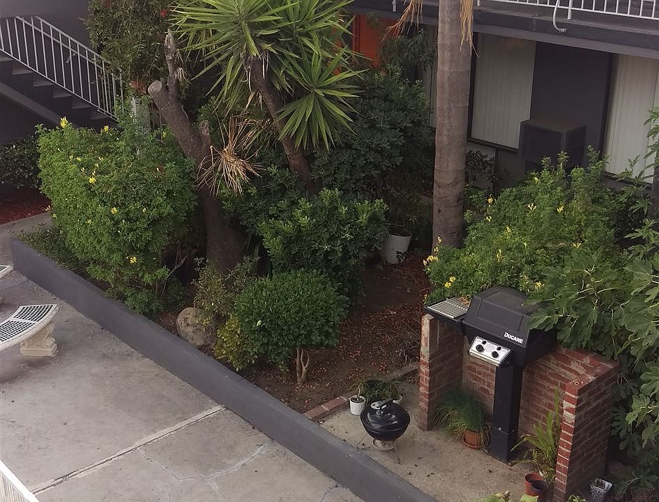 IMAG2453