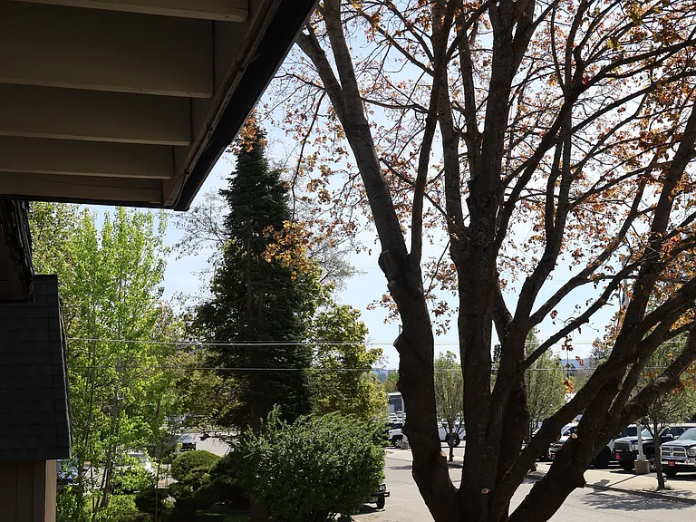 2828 N Julia St — Photo 2