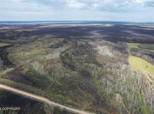 TRACT Kobe Ag Rd #C, Anderson, AK 99744