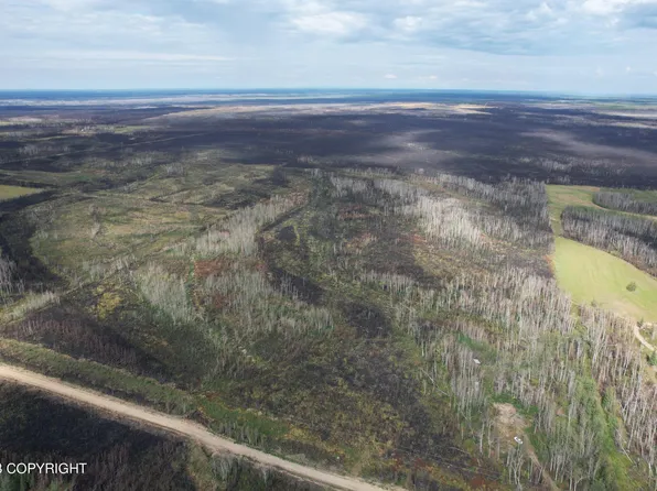 TRACT Kobe Ag Rd #C, Anderson, AK 99744