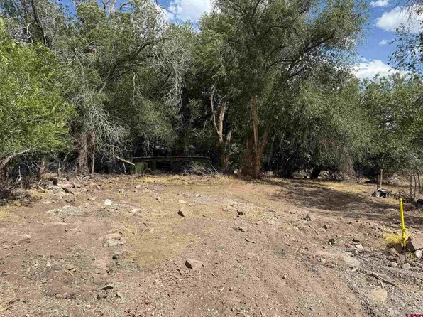 285 NW 7th Street, Cedaredge, CO 81413