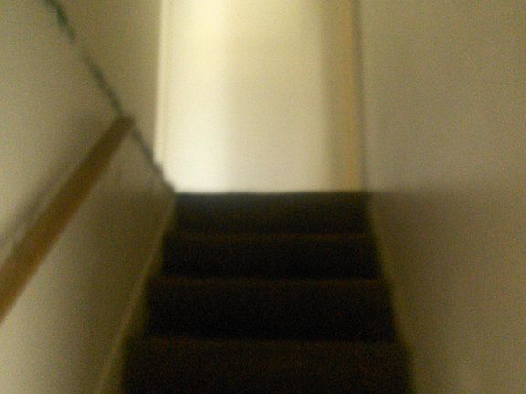 5th image of 310 Donald Pl SE
