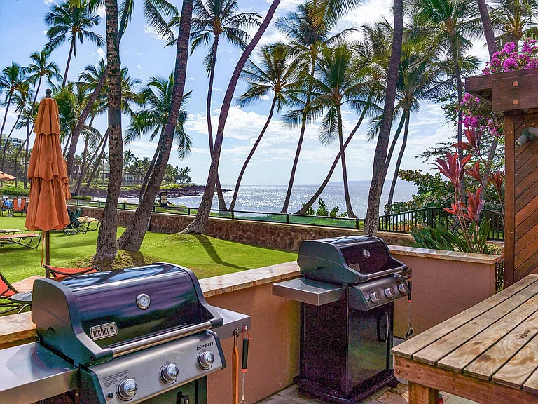 Wailea Alanui Dr — Photo 48