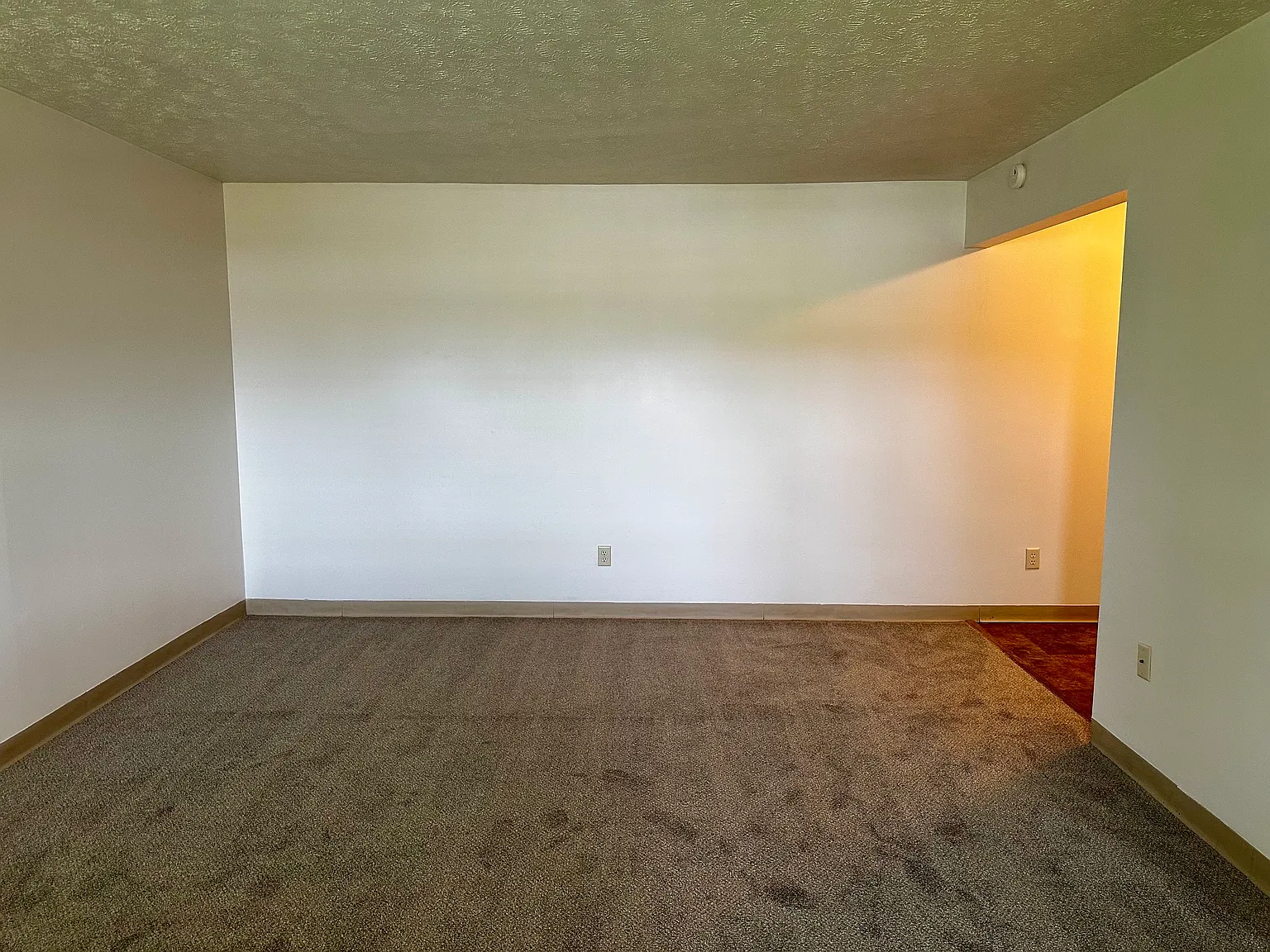 1 bed, 500 sqft, $849 — Photo 3