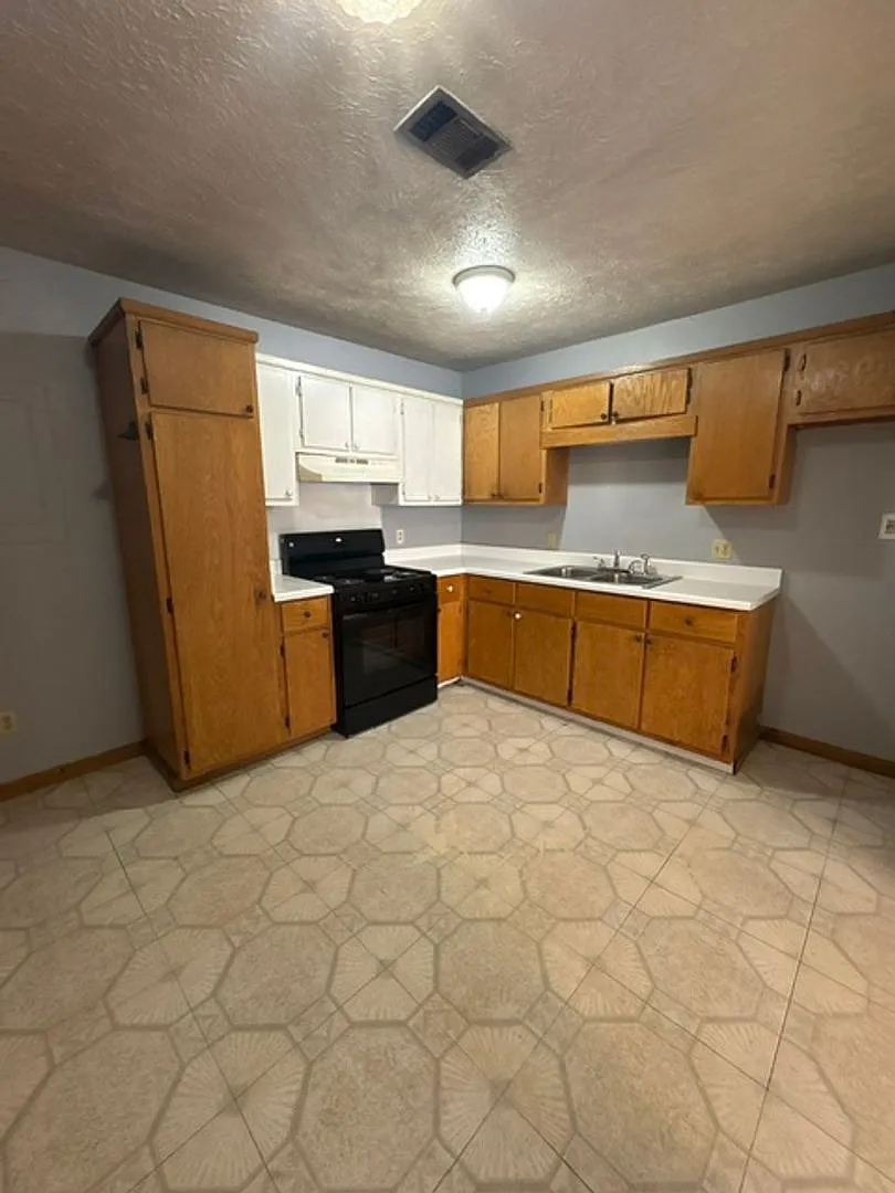 295 Homer Rd. (Booneville Apts 1) — Photo 4