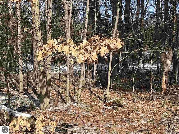 5th image of 240 Sharona Ln