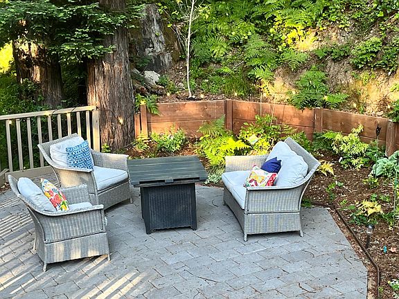 Fire pit, fern grotto
