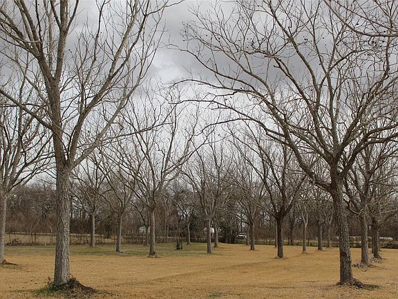 2nd image of 5555 County Road 135 Rd