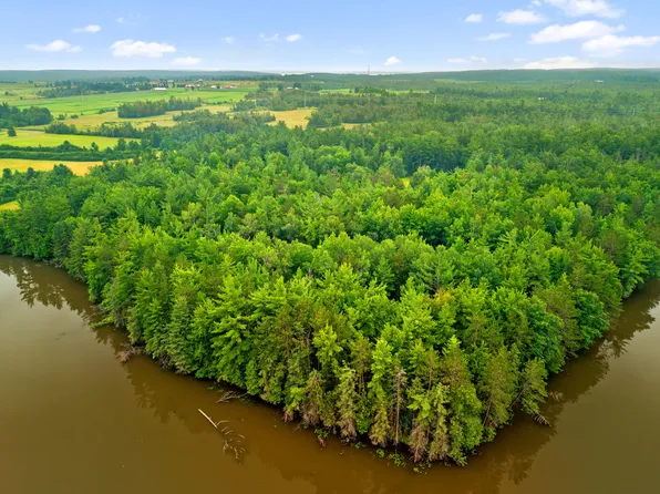 Connon Rd, Hillman, MI 49746
