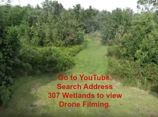 307 Wetlands Pl, Saint Cloud, FL 34771