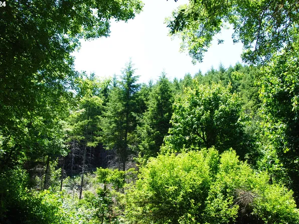 0 Kings Valley Hwy, Monmouth, OR 97361