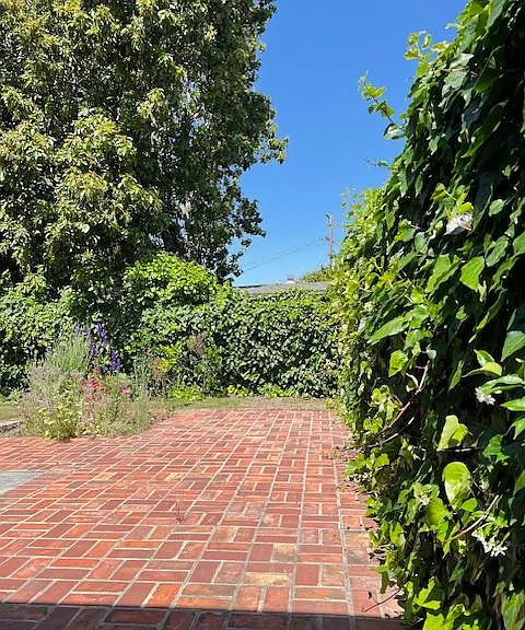 565 Manzanita Ave — Photo 23