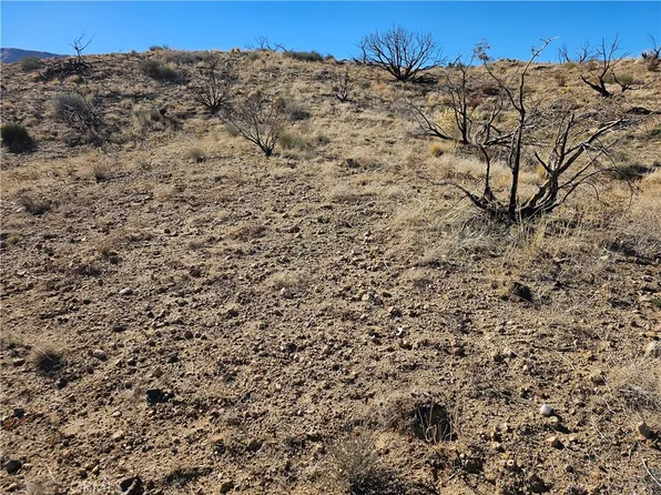 6 128th St E Lot 2, Pearblossom, CA 93553