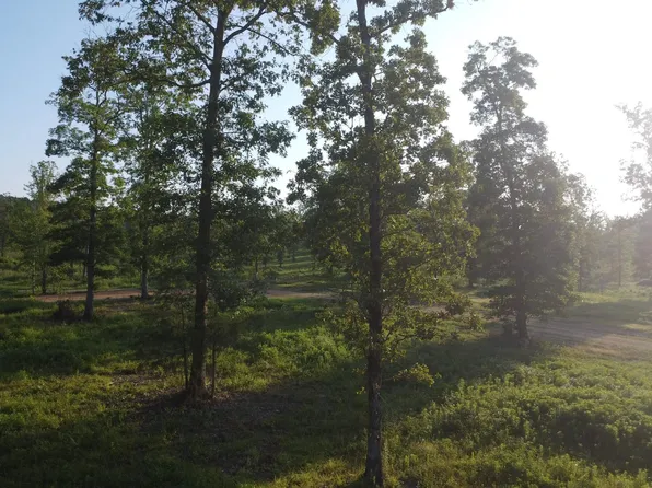 TRACT Eight Whittington Homestead, Story, AR 71970