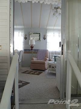View From Florida Room