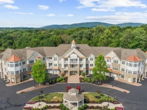 1103 Berry Farm Rd, Whitehouse Station, NJ 08889