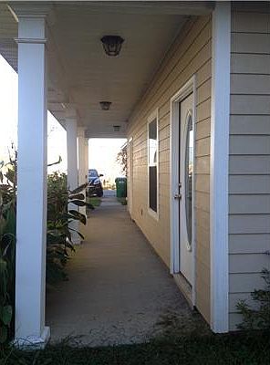 4th image of 1292 Tropical Cv #1292