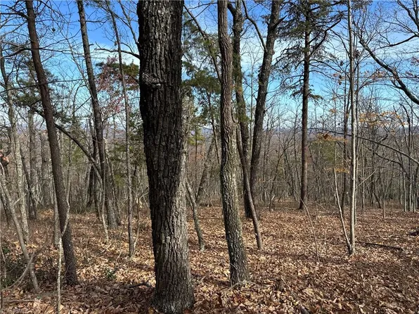 0 Otis Woods Rd, Sandy Ridge, NC 27046