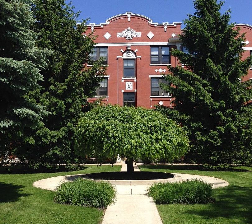 1st image of 4621 1/2 N Damen Ave #3