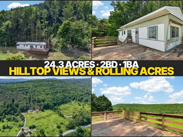 118 Lookout Dr, Charlotteville, NY 12036