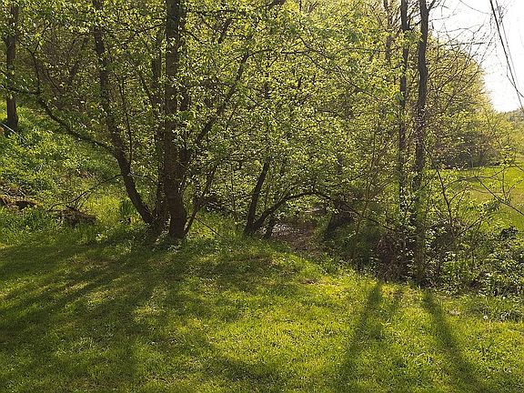 5th image of 1125 Robinette Valley Rd