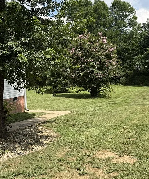 112 Buena Vista Ct — Photo 16